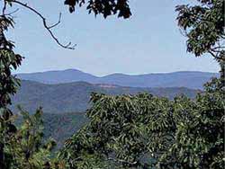 united realty advisors mountain view property - realestate